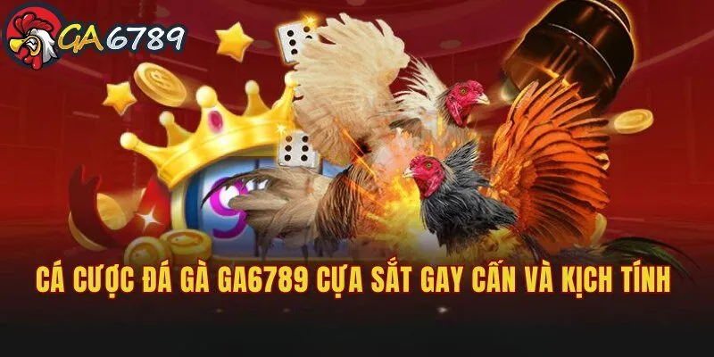 ca-cuoc-da-ga-ga6789-cua-sat