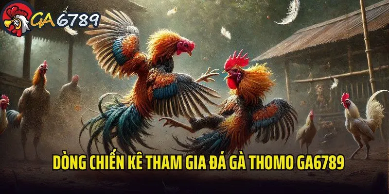 da-ga-thomo-ga6789-dong-chien-ke