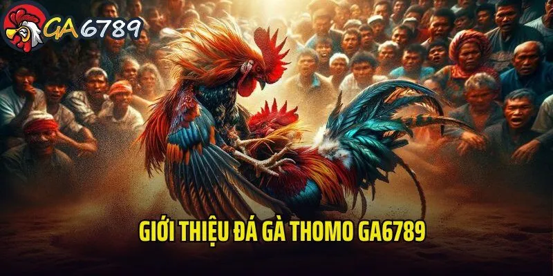 da-ga-thomo-ga6789-gioi-thieu